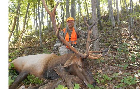 Lost Mountain Outfitters, Kentucky&39;s premiere elk, deer and turkey. . Kentucky elk hunting guides